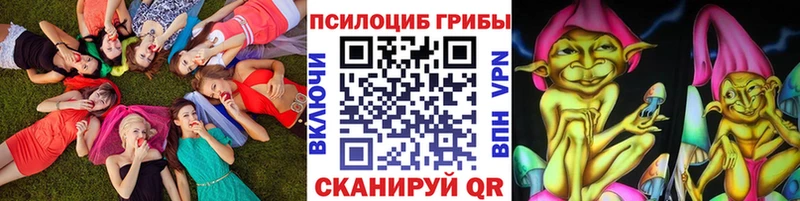 Псилоцибиновые грибы MAGIC MUSHROOMS Купить где Кохма